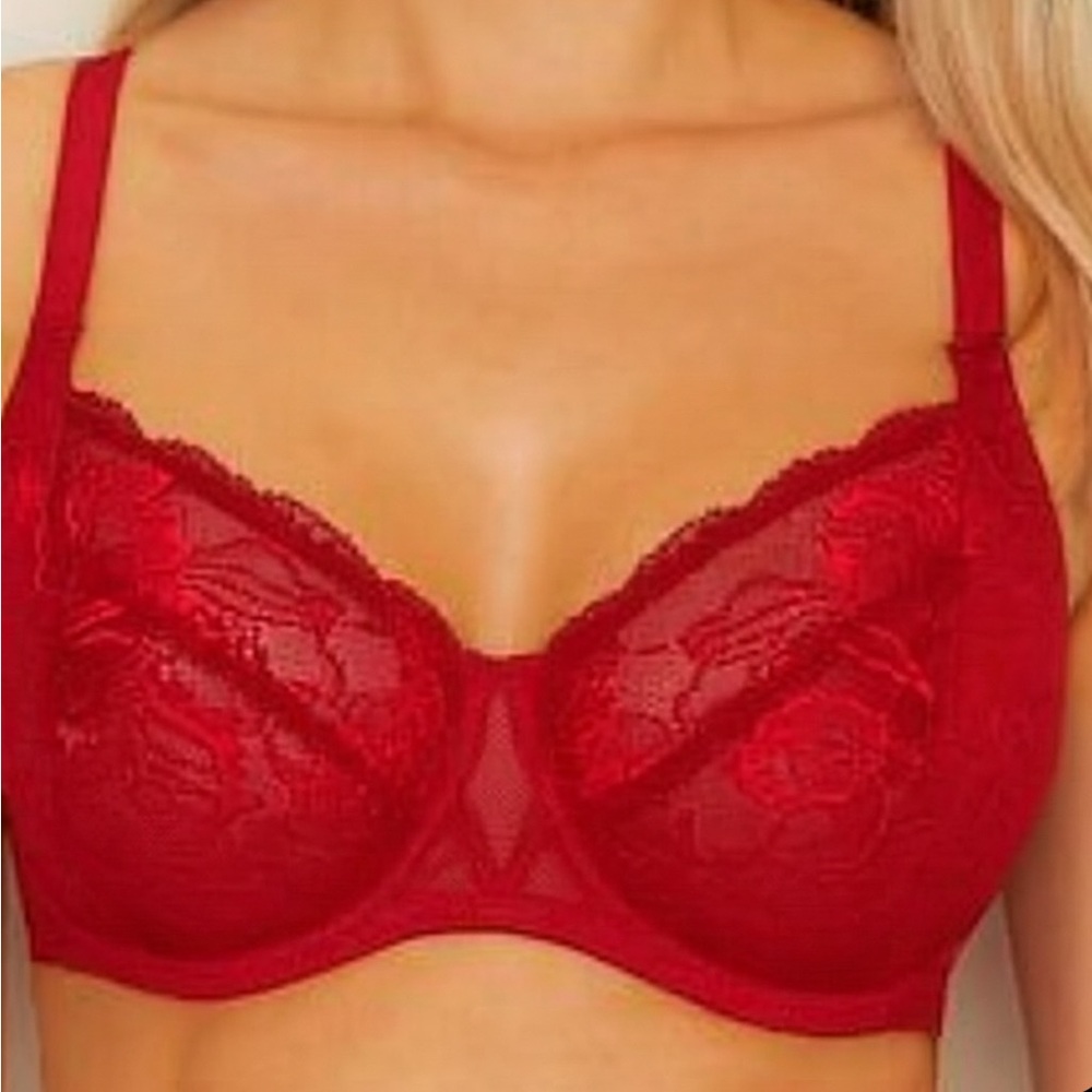 Simone Perele Vibrant Red Lace Bra full cup 32 E promesse bra